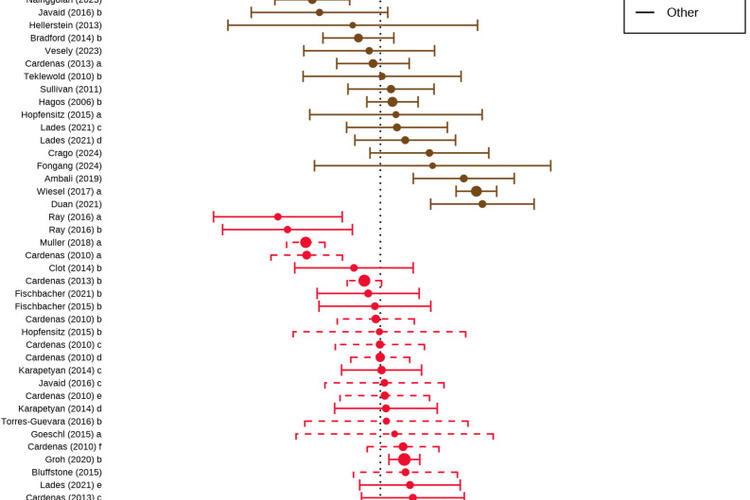 meta analysis image